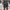 Men Gym Shorts