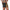 Men Gym Shorts