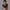 Fitness Double Layer Yoga Top